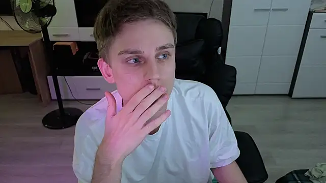 pvlpstvy webcam