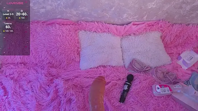 mirida_fox webcam
