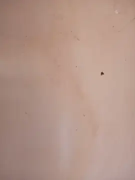 DaisyHarperr webcam