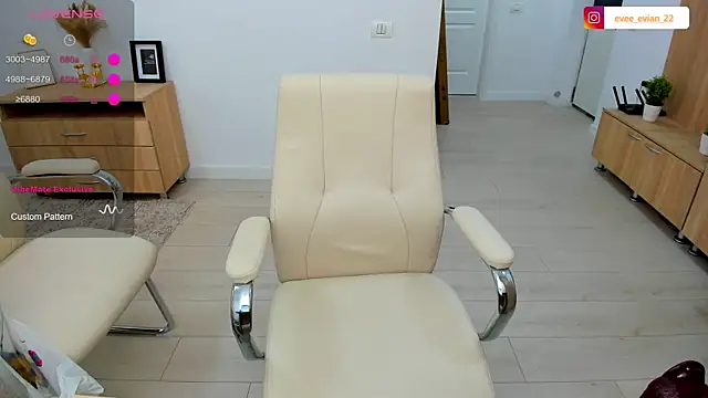 EveEvian webcam