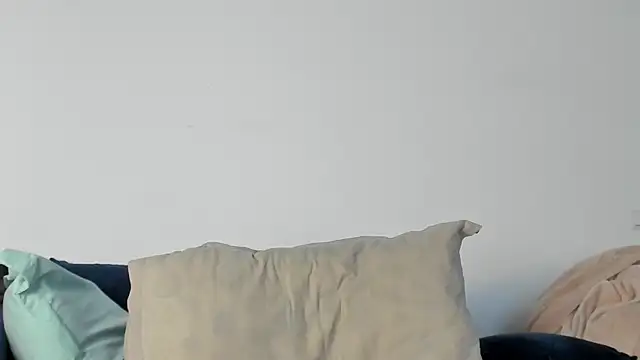 10in_deluxe webcam