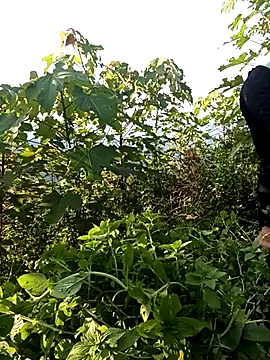 doggy-00 webcam