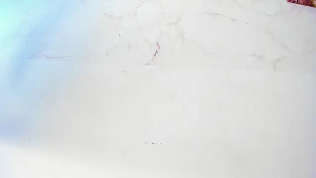 sofiaa_cardenas webcam