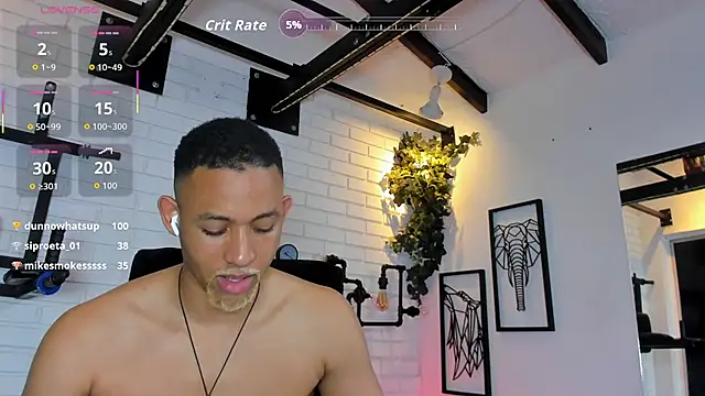 B_Wild webcam