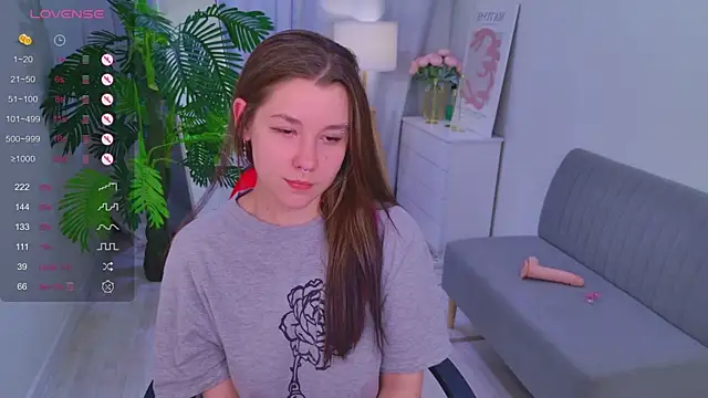 Mira_Falls webcam