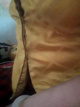 -Tara-a webcam