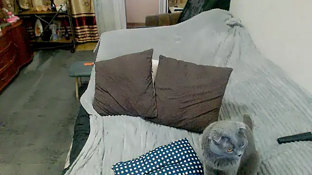 sex2 live cam