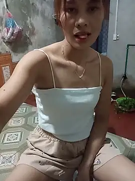 aiai220 webcam