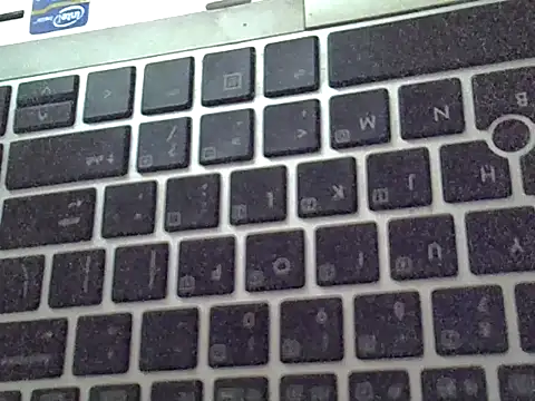 Delicious-D webcam
