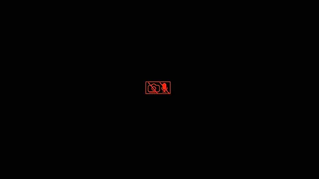 Hgay6935 webcam