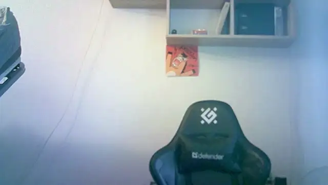 SirAbuser webcam