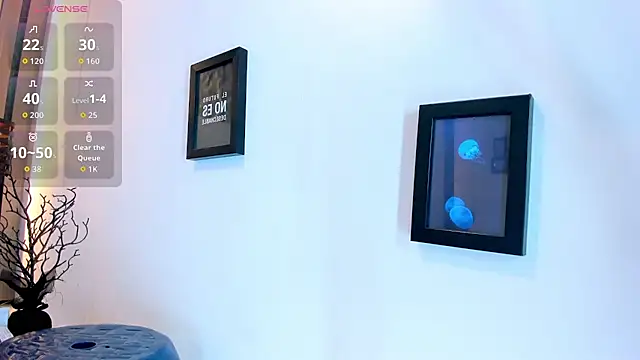 Pit_Ross live cam on StripChat