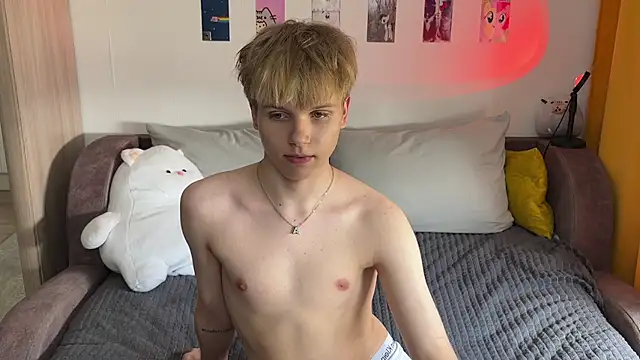 metarion webcam