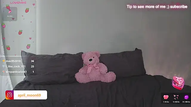 april_kampf webcam