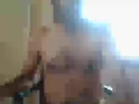 nbolla1 webcam