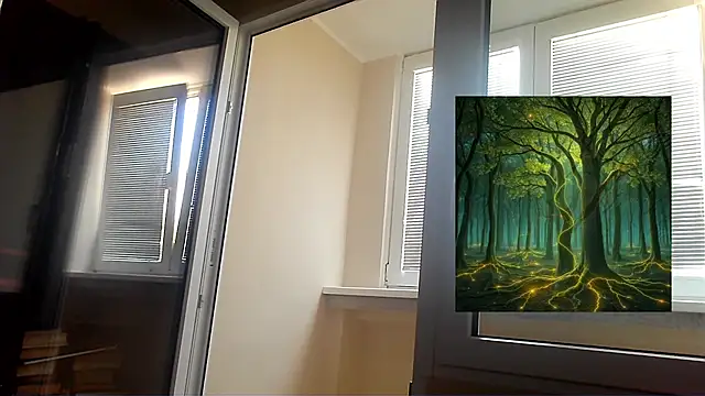 Sully_Kane webcam