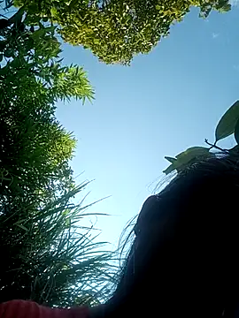 Lyssa-a webcam