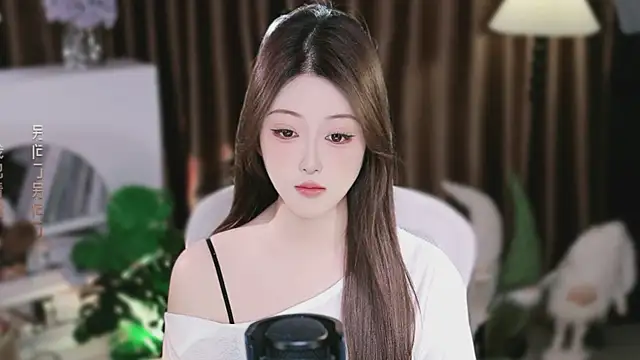 singer-ok webcam