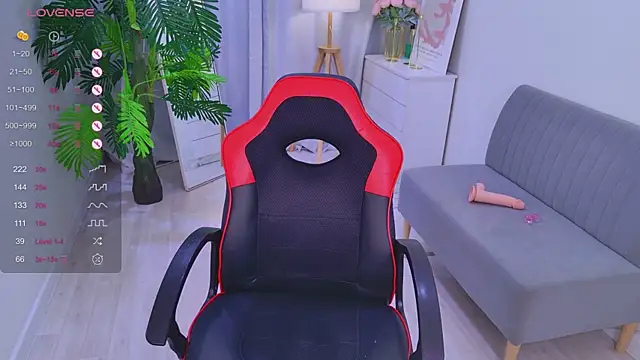 Mira_Falls webcam