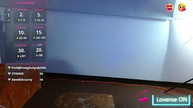 nanygp webcam