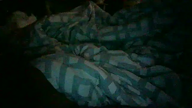_P3RKY_IMMORTAL3_FIR3_ webcam