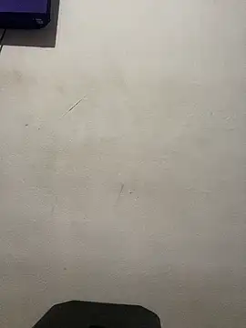 LUCKYPpuuppy webcam