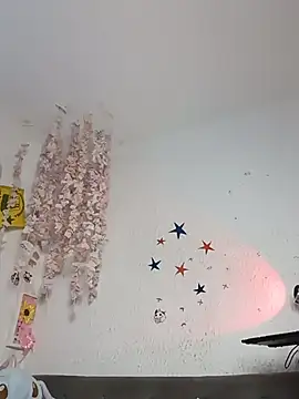 Kuutar webcam