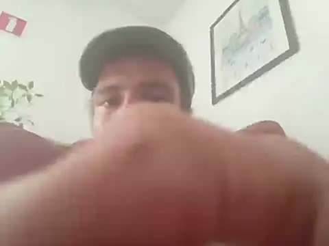 Speedyvinc webcam