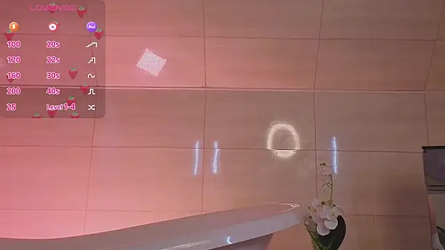 Aurora_Paradise
