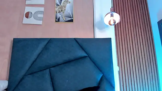 LaurentFerrer webcam