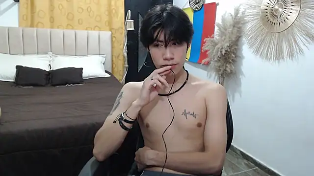 Elio-cam webcam