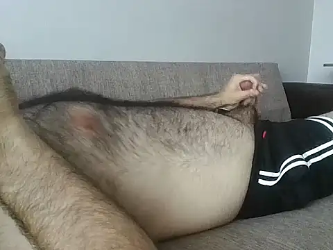 HairyMaster webcam