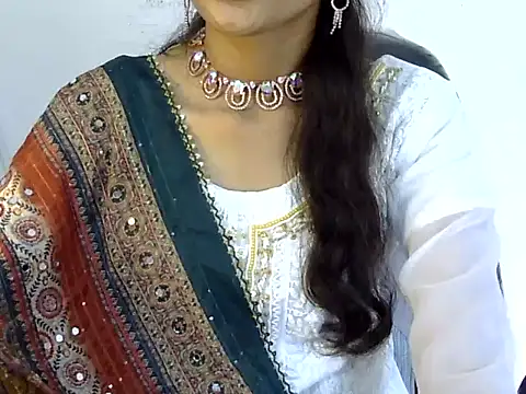 Mehaak_ webcam