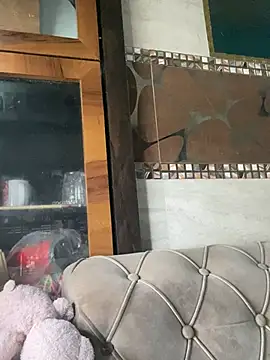 Haanikaur_saavi webcam