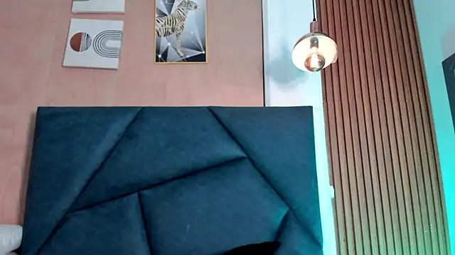 LaurentFerrer webcam
