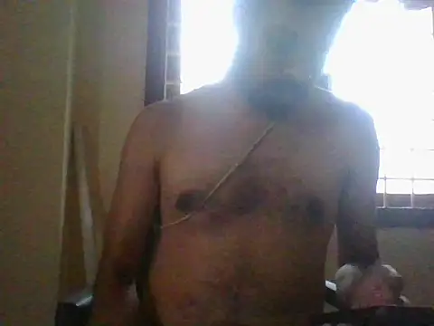 nbolla1 webcam