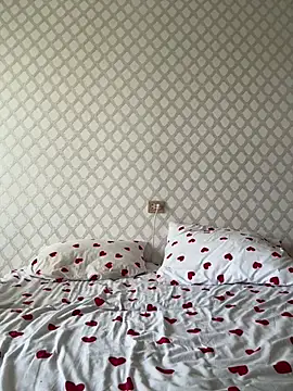 adel_secret webcam