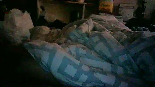 _P3RKY_IMMORTAL3_FIR3_ webcam
