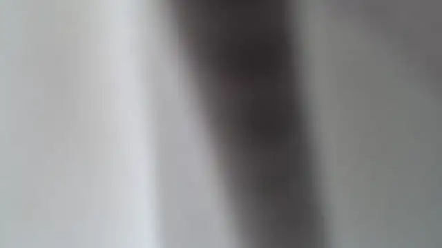 Olgahunder webcam