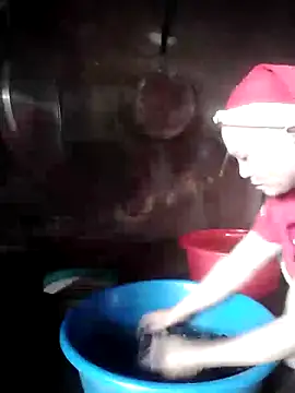phlin1 webcam