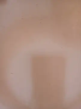 DaisyHarperr webcam