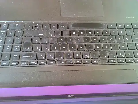 daddyflash webcam