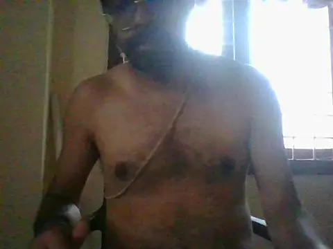 nbolla1 webcam