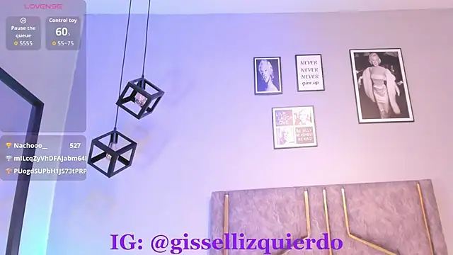Liincostelloo webcam