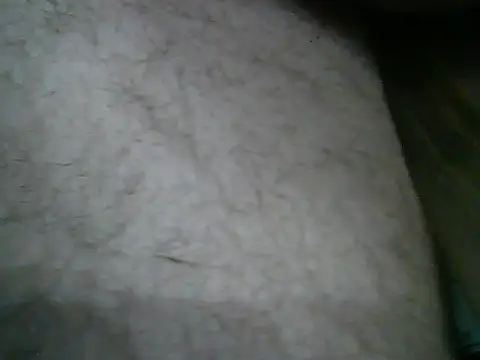 SirFrankonde webcam
