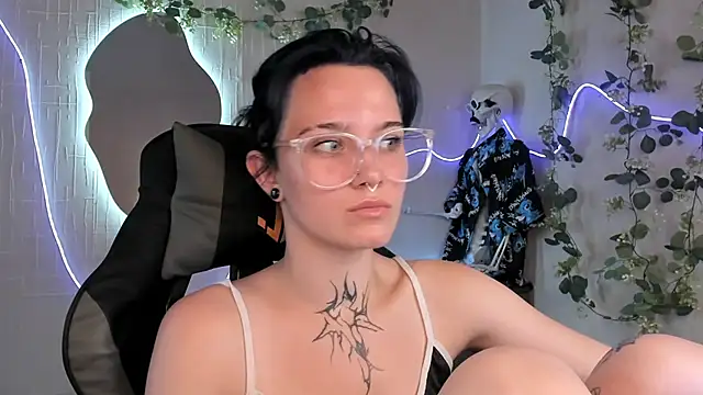 Elastikisss webcam