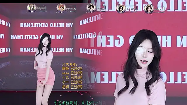 TY-002 webcam