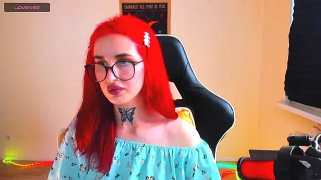 your_tora webcam