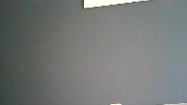 Ginger-bb webcam