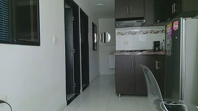 grey___27 webcam